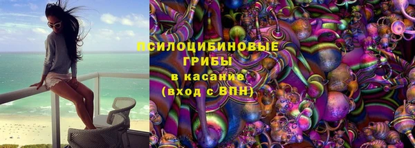 дживик Инсар