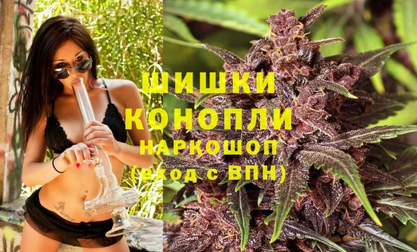 дживик Инсар