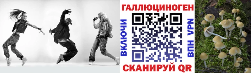 Купить где  Снежногорск  Галлюциногенные грибы мухоморы 